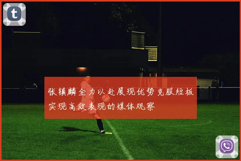 张镇麟全力以赴展现优势克服短板实现高效表现的媒体观察